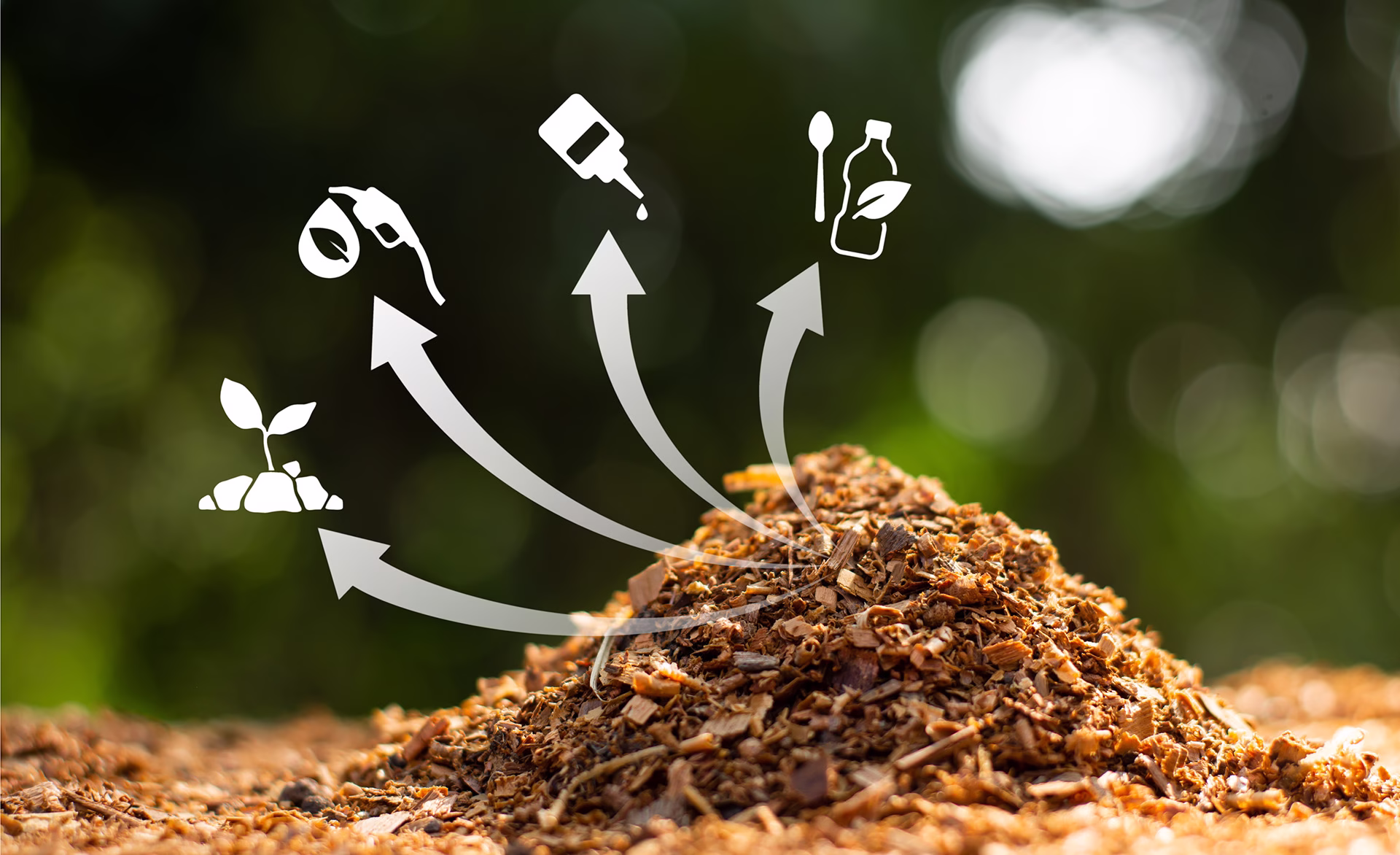 Biojalosteet Suomussalmella